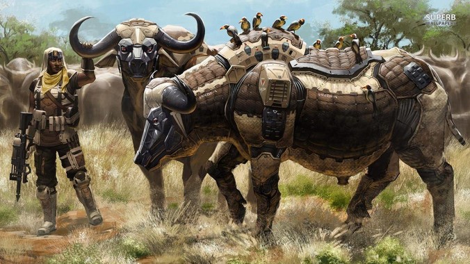 鱼缸能不能做到一直不换水还很清澈？